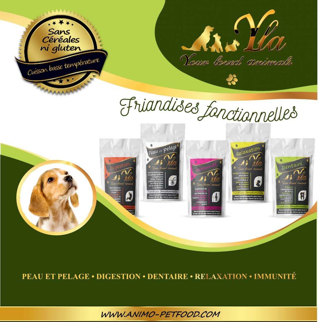 friandises-chien-chiot-peau-pelage-digestion-relaxation-immunite-dentaire